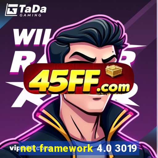 net framework 4.0 3019